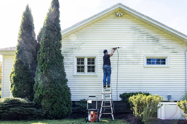 Best Deck Cleaning Services  in Dexter, MO